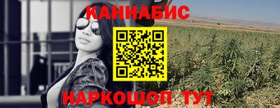 spice Обнинск