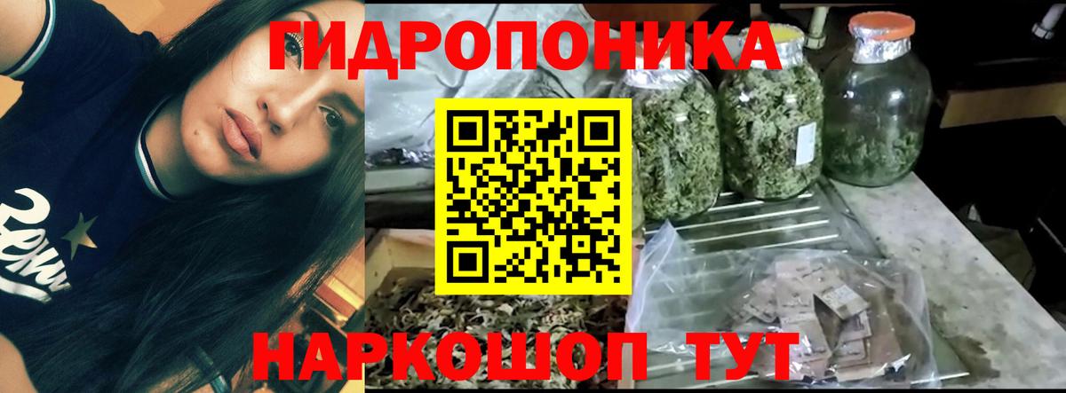 Конопля марихуана  Вход с VPN  МАРИХУАНА SATIVA & INDICA  Урус-Мартан 
